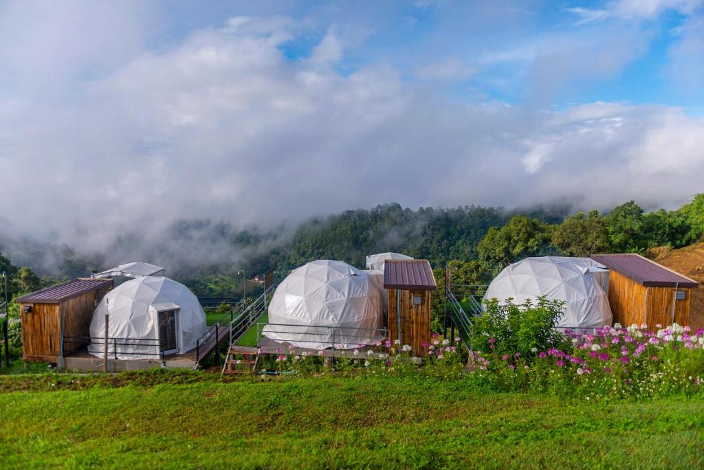Mae Rim Other | ไร่สายหมอก