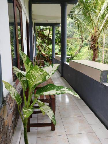 Moni Bed & Breakfast | 12 m² Bed and breakfast ∙ 2 guests