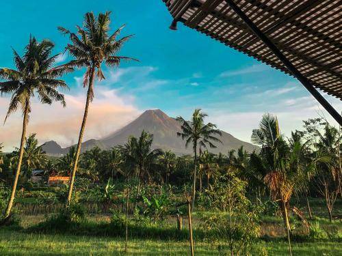 Cangkringan Bed & Breakfast | 20 m² Bed and breakfast ∙ 2 guests