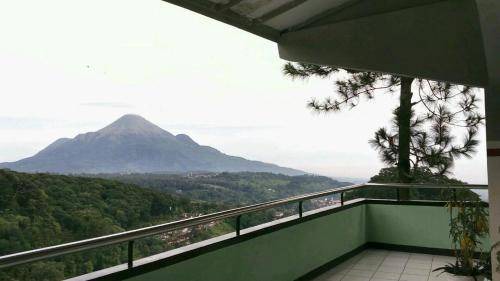 Tretes Hotel | 22 m² Hotel ∙ 3 guests