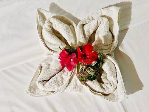 Hu'u Bed & Breakfast | 24 m² Bed and breakfast ∙ 2 guests