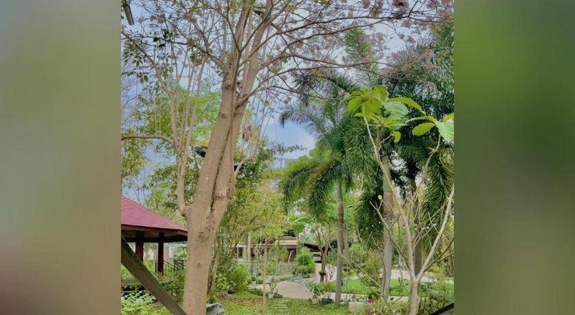 Ban Pong Bed & Breakfast | 25 m² Bed and breakfast ∙ 5 bedrooms ∙ 10 guests