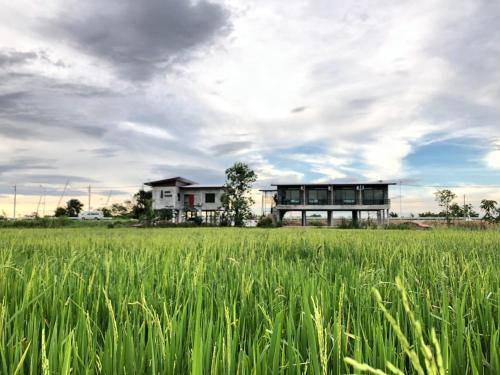 Sakae Krang Bed & Breakfast | 30 m² Bed and breakfast ∙ 2 guests