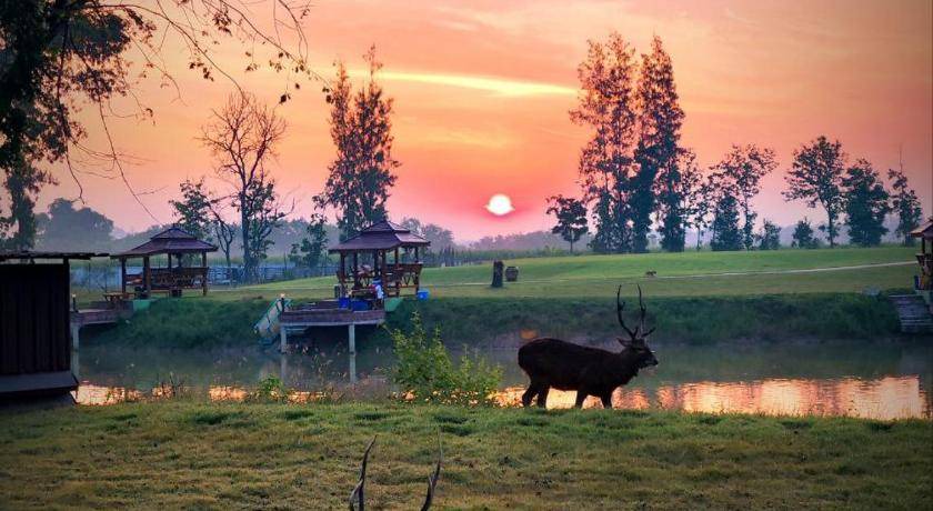 Chom Bueng Resort | 35 m² Resort ∙ 3 guests