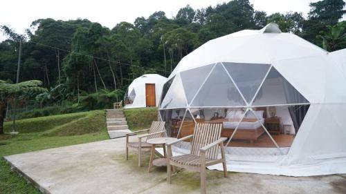 Cipanas Resort | 36 m² Resort ∙ 8 guests