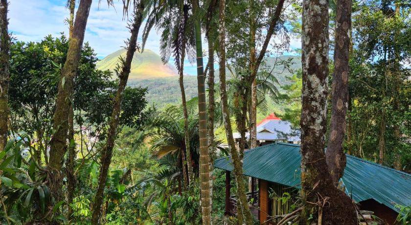 Tomohon Cabin | 45 m² Lodge ∙ 2 bedrooms ∙ 4 guests