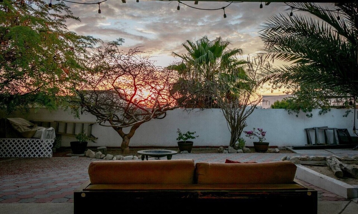 Cabo San Lucas House | A Cabo Haven in a huge yard full of endemic trees and flowers (Pet Friendly!)