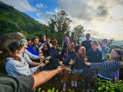 Tanah Rata Hostel | A3A Oastel CoLiving - Children NO Allowed