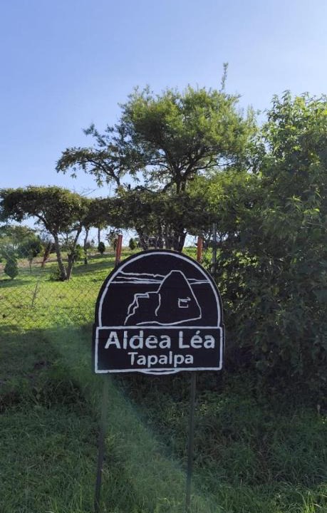 Tapalpa House | Aldea Lea Tapalpa