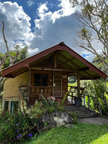 Chom Thong House | Angha forest view บ้านริมนา