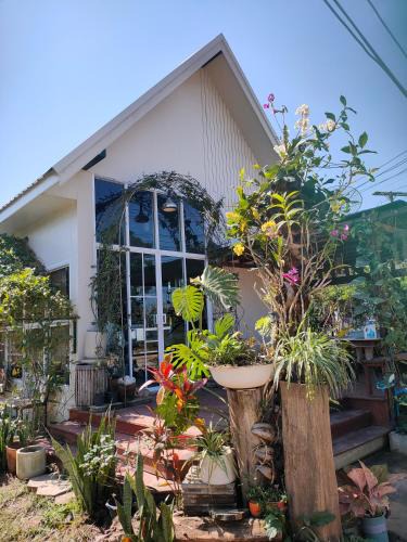 Chiang Khan Hotel | Banyai Pool Villa Chiang Khan