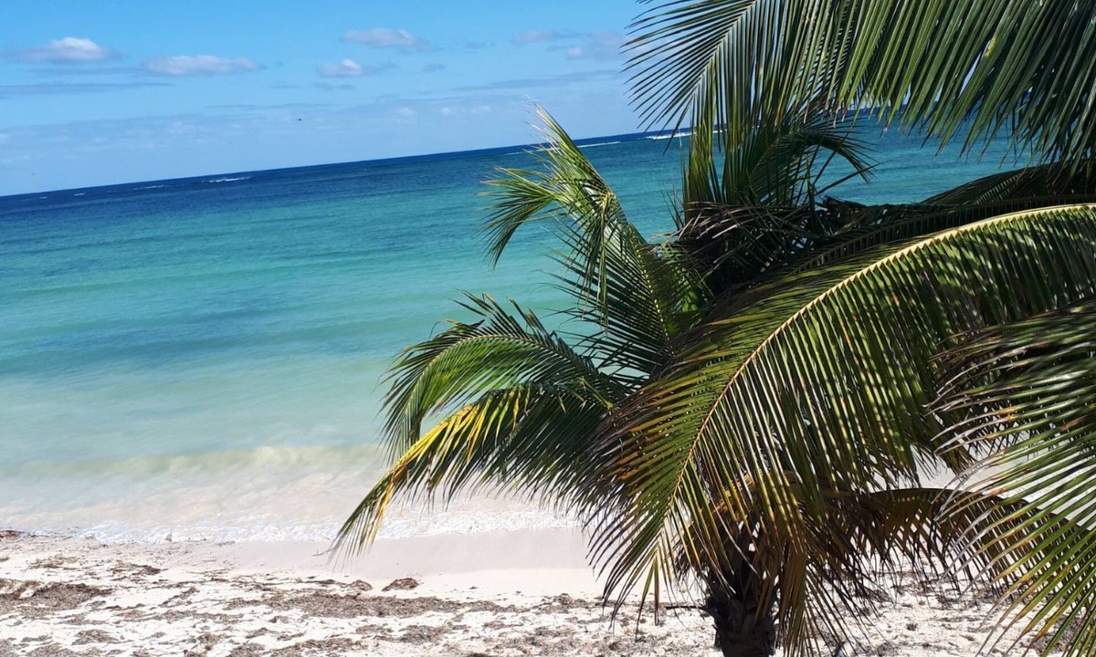 El Placer House | Beach front Bugalow. Off the beaten path.