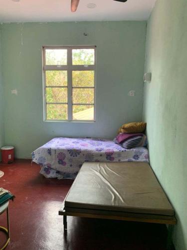 Kota Bharu House | BILIK ATAS Kopi Dalam Hutan