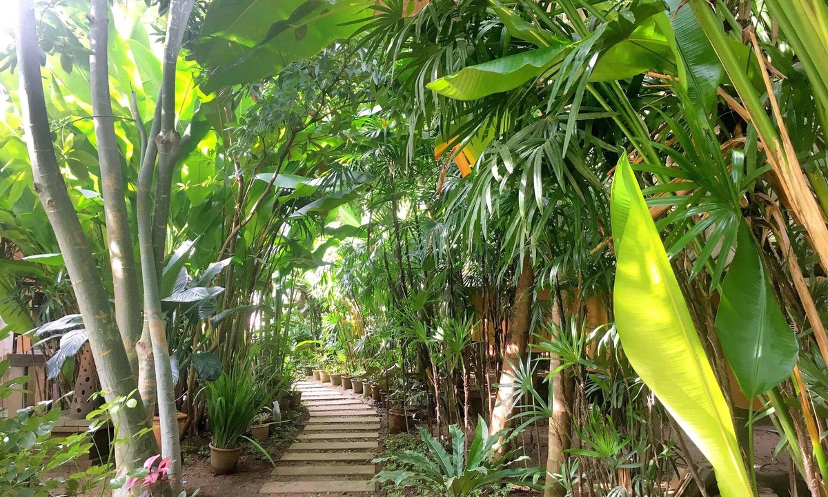 Pai House | Breeze of Pai Guesthouse