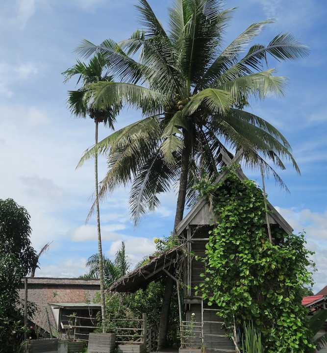 Palangkaraya Hotel | Bukit Raya Guesthouse