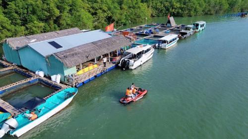 Can Gio Other | Cần Giờ Floating House