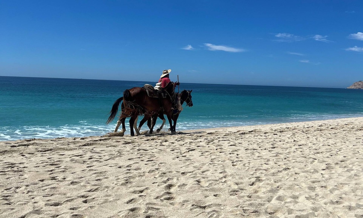 Ampliacion Juarez Resort | Cabo San Lucas! - It's your choice - Jr. Suite, 1 or 2-bedroom resort stay!
