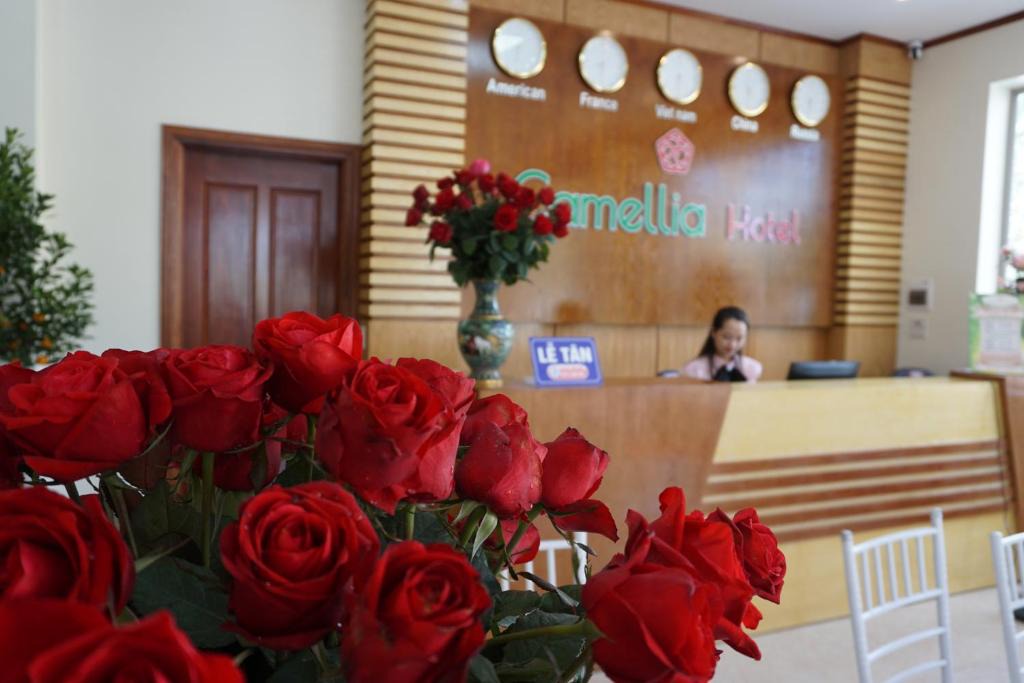 Thanh Hoa Hotel | Camellia Hotel