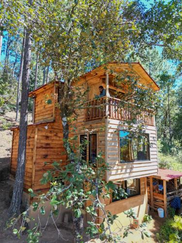 San Jose del Pacifico Ski Chalet | Casas Calenda