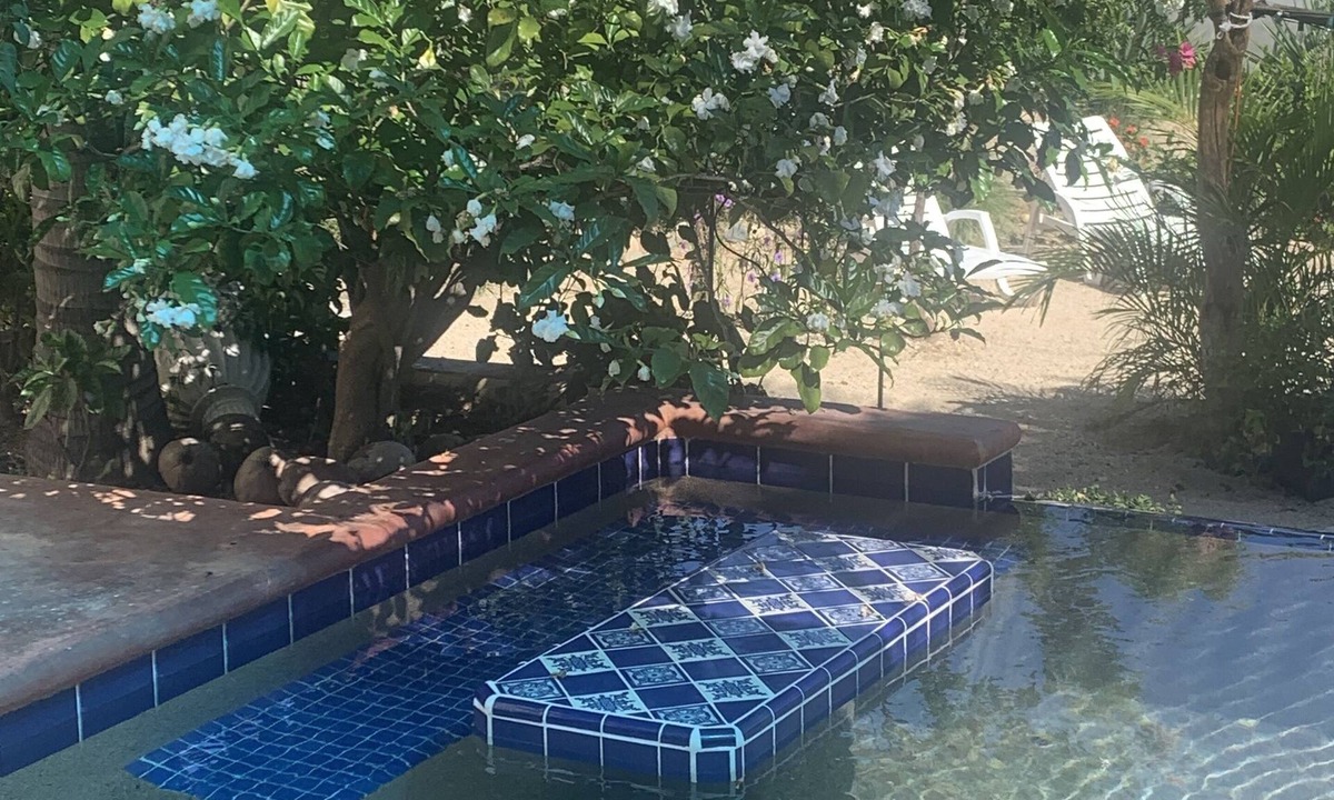 Buenavista Apartment | Casita, Amazing views!, Pool, wifi easy walk to the beach
