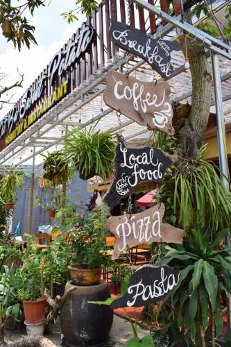 Cat Ba House | Cat Ba Sweet Potato Homestay