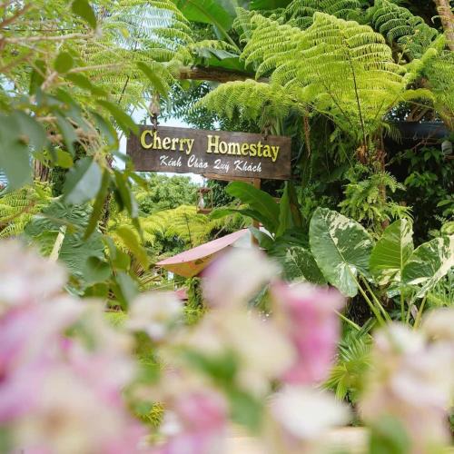 Buon Ma Thuot Bed & Breakfast | Cherry homestay bmt phòng đôi gia đình