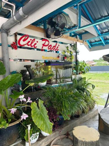 Kota Bharu House | CILI PADI GUESTHOUSE