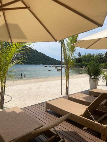 Pulau Perhentian Besar Resort | Coralview Perhentian Resort - Teluk Pauh BS