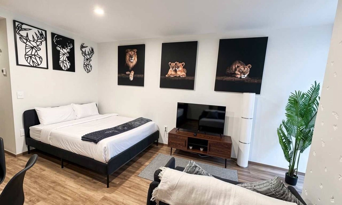 Reforma Apartment | Corporate Studio in Mexico City