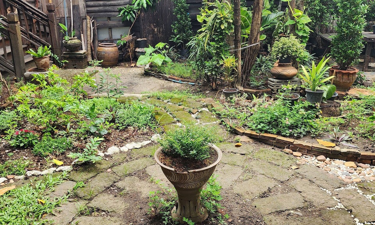 Chiang Mai Bed & Breakfast | Cozy Nest CNX in the heart of Chiangmai. walking distance train and bus station.