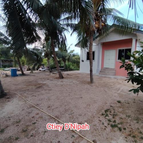 Kota Bharu House | Ctiey D'Nipah