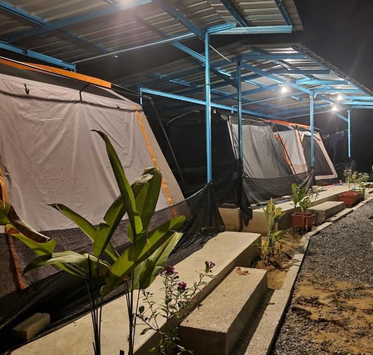 Kuala Tahan Other | D'Tahan Campsite Taman Negara