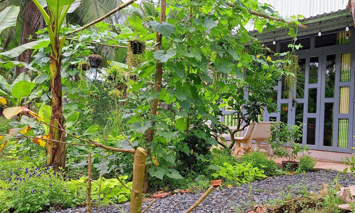 Giong Trom House | Duplex Cabin in farm stay - authentic experience of Mekong delta