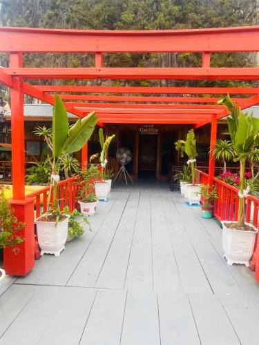Cat Ba House | Eco Floating Stay Cai Beo