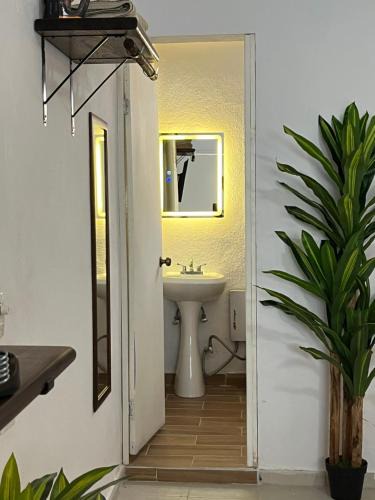 Downtown San Jose del Cabo Apartment | Estudio centro histórico #7