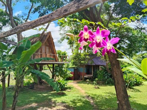 Ban Laongam Cabin | Fandee Island - Treehouses, Tiny Houses & Zipline - Tad Lo, Boloven Loop Pakse