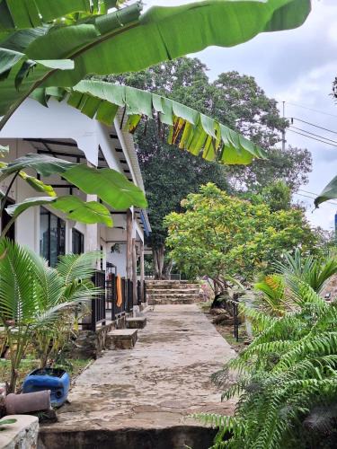 Koh Rong Hostel | Fat Monkey