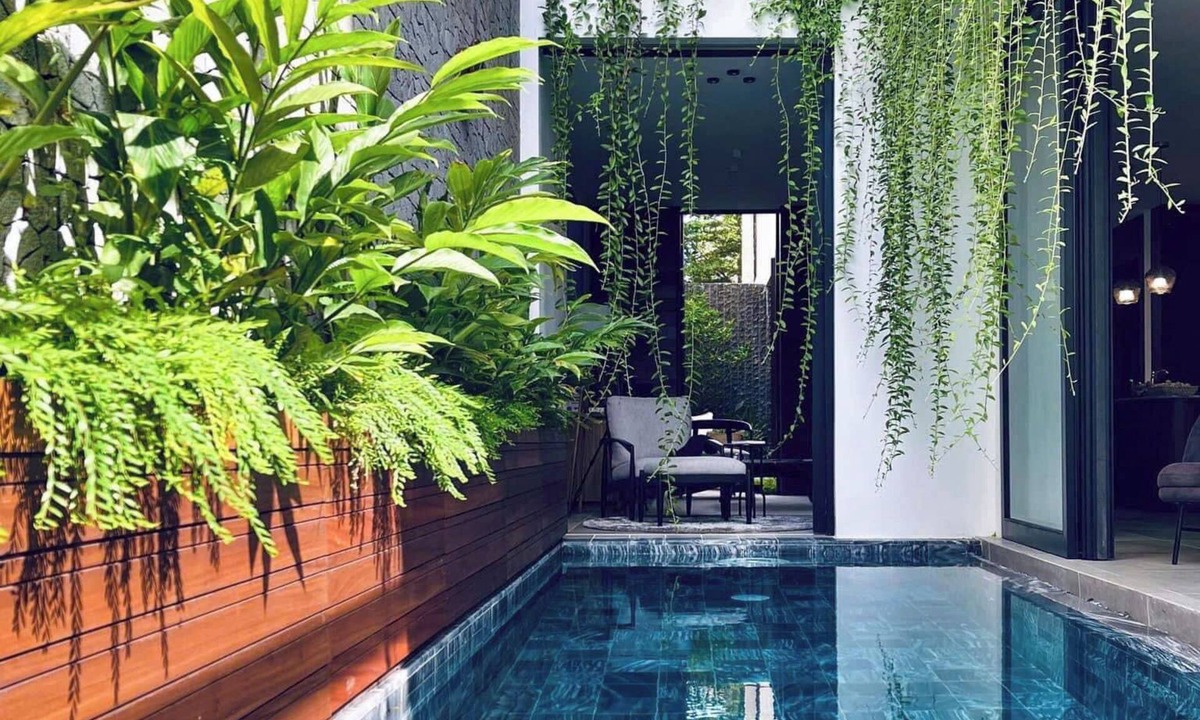Hoa Long Hotel | Field Villa