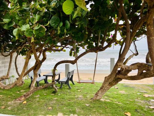 Phan Thiet House | Flora front beach villa 2