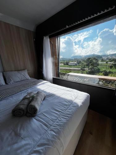 Dieng House | Fortune Cube