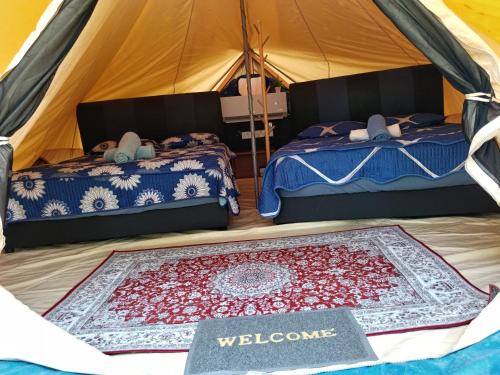 Kuala Tahan Other | Gaharu glamping park