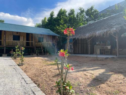 Son Trach House | Granny's House 1