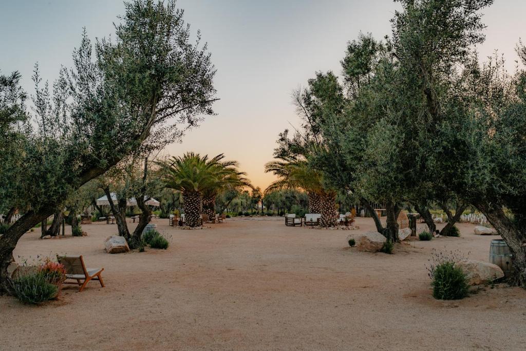 Valle de Guadalupe Resort | Hábimo - Valle de Guadalupe
