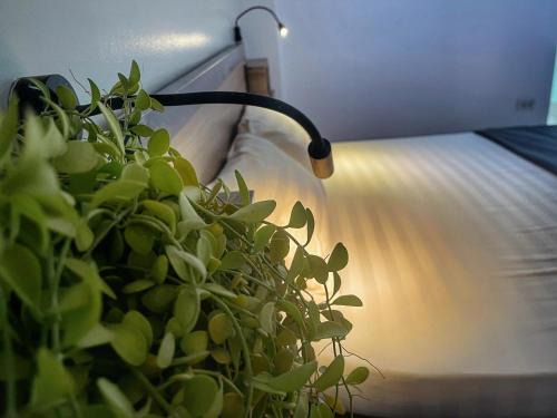 Hang Buom Hostel | Hanoi EcoStay 2 hostel
