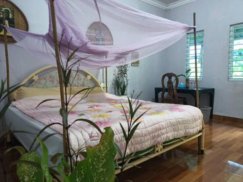 Puok House | Happy Homestay SiemReap - Local Vibe