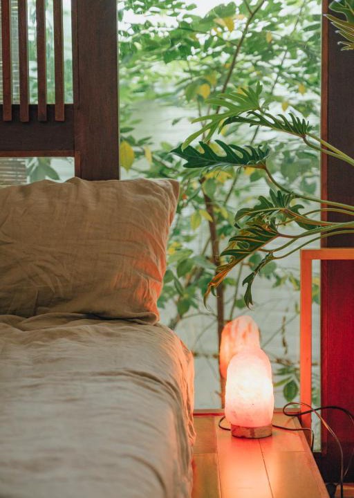 Binh Thanh House | Hidden Urban Tree House