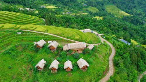 Thong Nguyen Bed & Breakfast | Hoàng Su Phì - Móng Ngựa Homestay