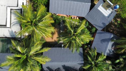 Mo Cay Bac House | Homestay Bentre Coco Lodge