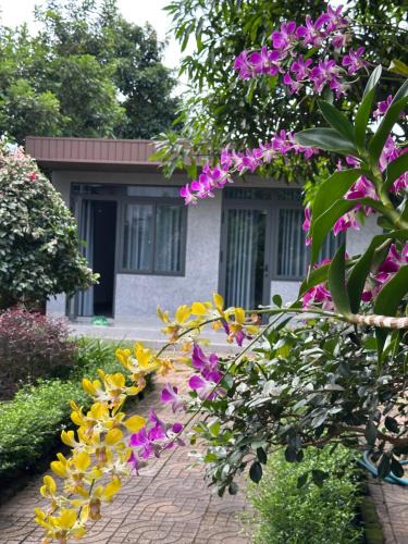Buon Ma Thuot Apartment | Homestay Buôn Mê 1