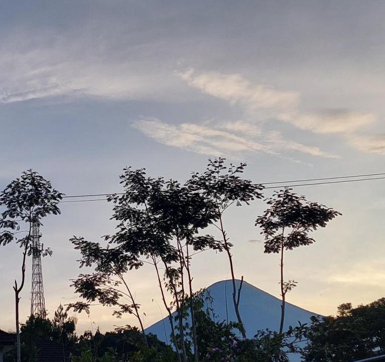 Wonosobo House | Homestay Ngaso Dalem